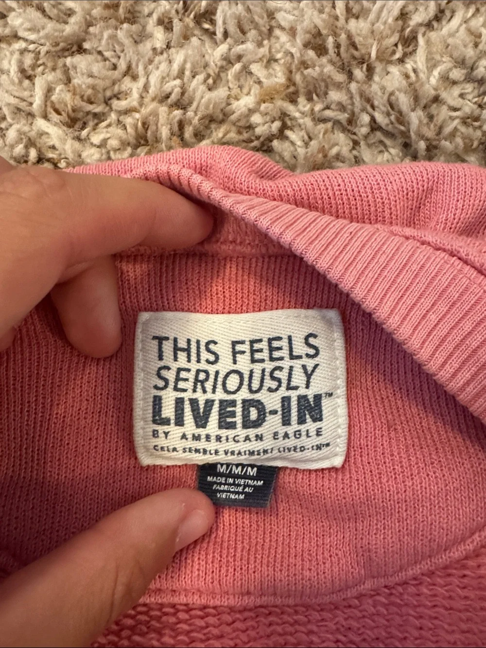 American Eagle Outfitters Pink Crewneck Sweatshirt